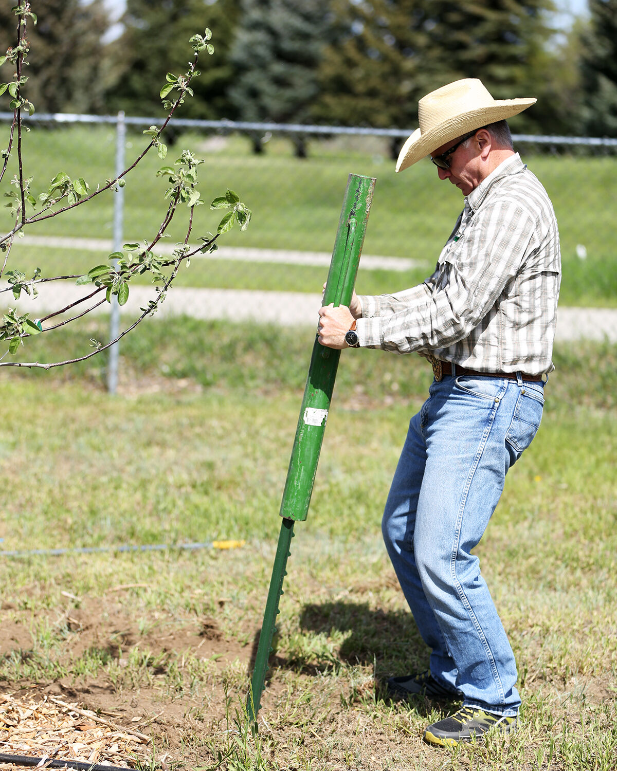 Gov. Mark Gordon drives in a t-post to be used to hang wire